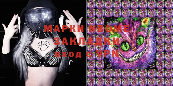 дживик Инта