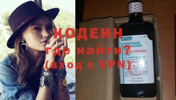 дживик Инта