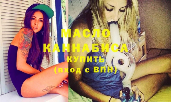 дживик Инта